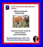 Learn Interactice Self-Hypnosis Series: Inner Exploration - Miracle Making Workshop