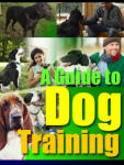 A Guide To Dog Training