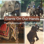 Giants On Our Hands: The Unemployed Elephants of Asia