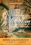 White Monkey, The:  Book 4 in The Forsyte Chronicles