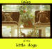 Tales of The Little Dogs